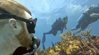 SCUBA Diving in St Thomas