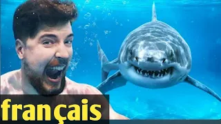 Seriez-vous prêt à nager avec les requins pour 100,000 $ | mrbeast français