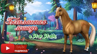 Бесплатная лошадь в Star Stable Online | Игра про лошадей