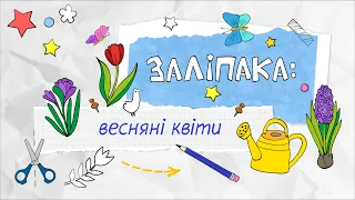 Заліпака «Весняні квіти». Цікаве відео для дітей!