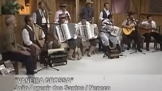 Os Monarcas - "Vaneira Grossa" 🎶🎵 Programa Galpão Nativo.