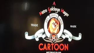 Surf-Bored Cat (1967) Opening On Toon In With Me On MeTV