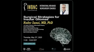 Surgical Strategies for Insular Gliomas by Dr. Nader Sanai