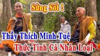 44 Câu Nói Của SƯ MINH TUỆ Thức Tỉnh Cả Nhân Loại: Chuyện lạ BÒ CŨNG ĐI THEO NGHE THUYẾT PHÁP