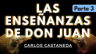 LAS ENSEÑANZAS DE DON JUAN | C. Castaneda | Parte 3 | Audiolibro completo en español | Voz humana