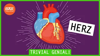 Das Herz – so funktioniert es | Trivial Genial | DAK-Gesundheit