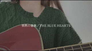情熱の薔薇／THE BLUE HEARTS【covered by みさき】