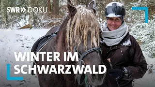 Ein Winter im Schwarzwald | SWR Doku