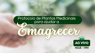 Protocolo de plantas medicinais para ajudar a Emagrecer!