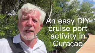 Curaçao Rif Mangrove Park - A Do it Yourself Cruise stop activity five minutes from the ship.