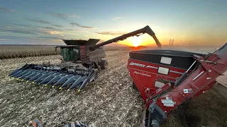 Picking 136k Bushel of White Corn In 3 Days With One Case IH 9250 To Finish Harvest 2023 S4 E49