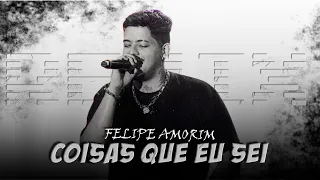 COISAS QUE EU SEI - Felipe Amorim [ Samuka Perfect Remix ] ELETRO-NEJO 2023