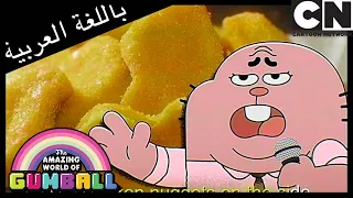 عرض غنائيّ | غامبول | كرتون نتورك