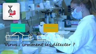 [ScienceLoop] Virus, SARS-CoV-2 et Covid-19 : les tests de détection [2/4]