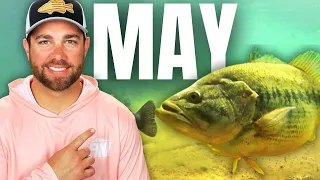 Catch BIG BASS in MAY