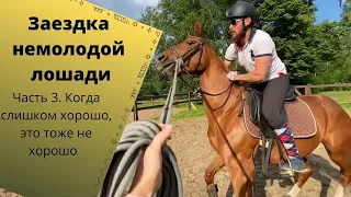 Заездка не молодой лошади. Часть 3. Пробуем сесть .