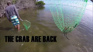 2018 BLUE CRAB SEASON HAS BEGUN