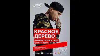 Красное-Дерево - 31 прайд