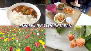 What I eat in a week | living alone in Japan | Daily cooking vlog