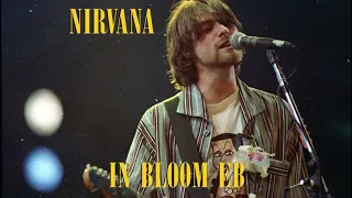 Nirvana - In Bloom (Backing track, half step down)