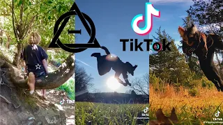 Therian and Quadrobics TikToks || Compilation 🐾🪱🪲|| Alterhumans of TikTok #67