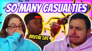 Casual Geographic - The TRAUMATIZING REALITY of being an ANT | Eli and Jaclyn REACTION!!