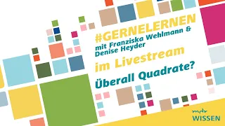 Quadrate in Wissenschaft und Natur | #gernelernen mit MDR WISSEN | MDR