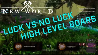 Luck Gear vs No luck Gear High level boars New World