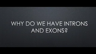 Why do we have introns and exons?