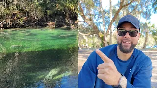 Watching Hundreds of Manatees Migrate to Blue Spring State Park in Florida | DJI Osmo Pocket 3 Test!