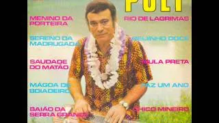 Poly - Faz Um Ano