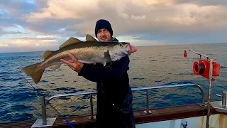 24 HOUR ROD AN LINE COMMERCIAL FISHING TRIP - Massive pollack Landing in FRANCE !