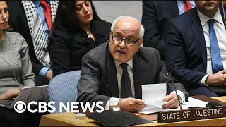 Palestinian U.N. ambassador Riyad Mansour speaks to reporters