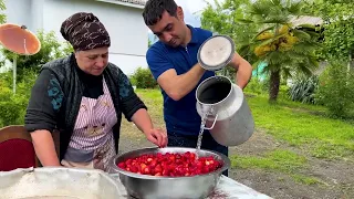 MAKING RED STRAWBERRY JAM AND CAKE! COOKING DELICIOUS CHICKEN | A PARADISE ELIXIR MULBERRY MOLASS