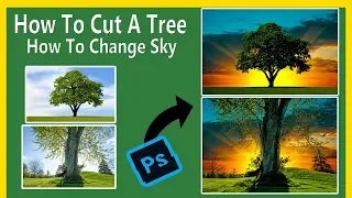 Photoshop Tutorials I How To Cut A Tree in Photoshop II How Tow Changed Sky I Dicinex