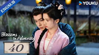 [Blossoms in Adversity] EP40 | Make comeback after family's downfall | Hu Yitian/Zhang Jingyi |YOUKU