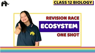 Ecosystem Class 12 Biology NCERT Chapter 14 | Biology Revision | One Shot