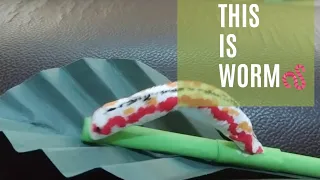 Don't touch the worm🪱l simple craft to make moving worm😊