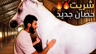 أول طلعة على حصاني الجديد🔥😍