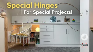 Special Hinges from Sugatsune, for special projects! Olympia Hinges and more