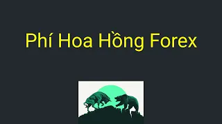 Forex | Phí hoa hồng (commission) trong forex là gì - Lưu ý về Commission khi chọn sàn forex