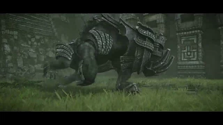 SHADOW OF THE COLOSSUS™. В ТЕНИ КОЛОССА - щит колосса