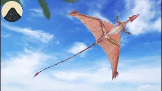 Sharovipteryx and the Earliest Gliding Animals