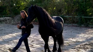 Le meilleur du Monde de Jamy - L'homme qui parle aux chevaux