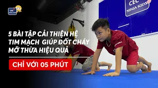 5 bài tập thể lực cho trẻ cực hiệu quả | Series bài tập tại nhà - CEC Ninja Kids