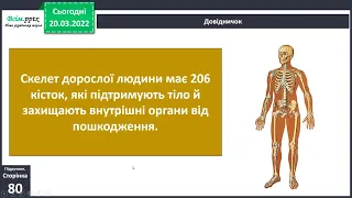 Я досліджую світ 3 клас №57-58 Скелет опора тіла людини