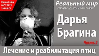 Дарья Брагина. Лечение и реабилитация птиц. Часть 2. Скайп-конференция 04.12.2019.