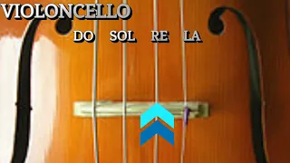 Afinador de Violoncello / Cello Tuner