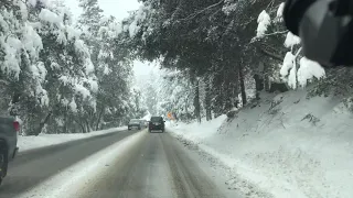 Driving in the Snow day
