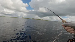 HUGE BROWN TROUT!! FLY FISHING For WILD BROWN TROUT On LOUGH CORRIB!!